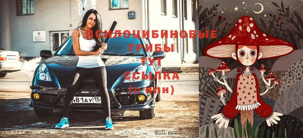 герыч Сосновоборск