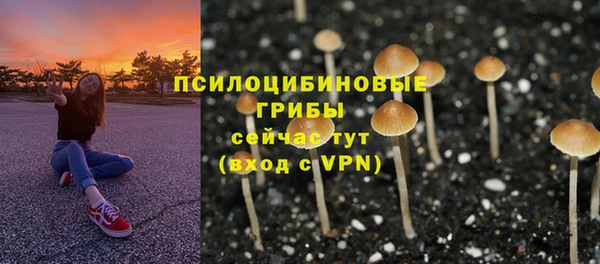 мяу мяу мука Сосновка