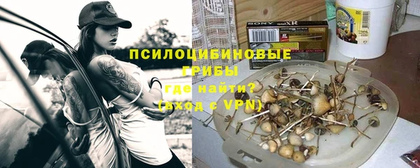 мяу мяу мука Сосновка
