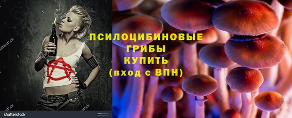 тгк Сосновый Бор