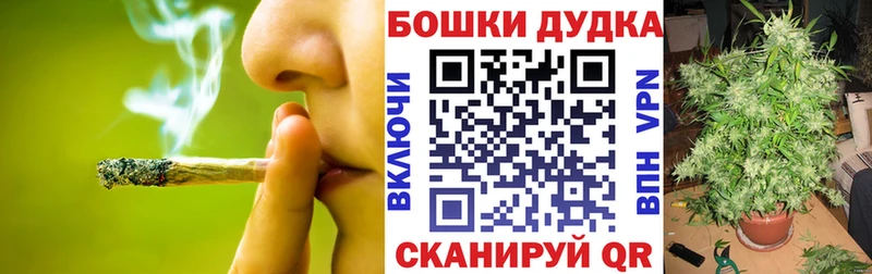 где найти наркотики Тогучин Бошки Шишки гибрид